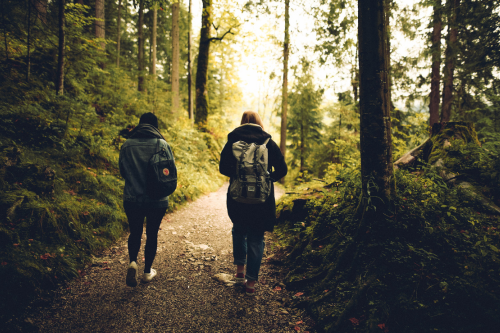 Two people walking in a forest
